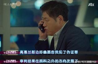 韩剧迷雾15在线视频,真相大白，正义终将到来